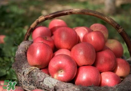 阿克蘇蘋果什么時(shí)候上市？阿克蘇蘋果幾月上市？