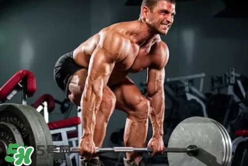 硬拉可以天天練嗎？硬拉可以每天做嗎？