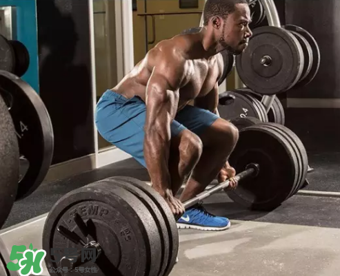 硬拉可以天天練嗎？硬拉可以每天做嗎？