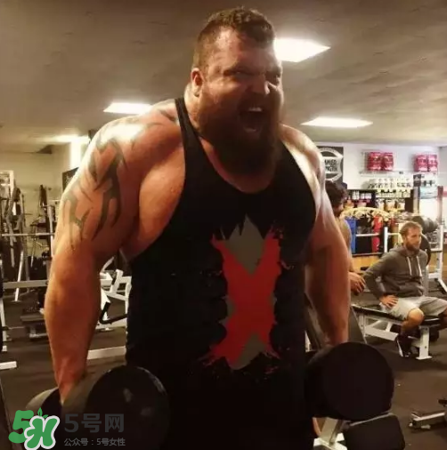 硬拉要放地上嗎？硬拉要觸地嗎？