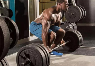 硬拉可以天天練嗎？硬拉可以每天做嗎？