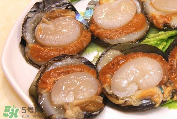 帶子是什么海鮮？帶子是什么東西