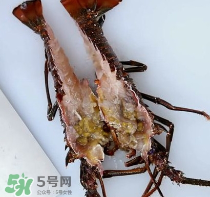 4斤的波士頓龍蝦多少錢？波士頓龍蝦怎么處理