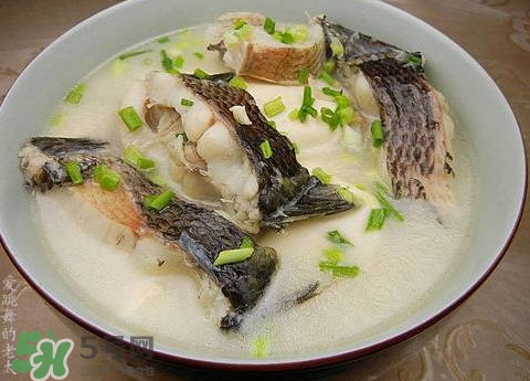 黑魚湯是發(fā)物嗎？黑魚湯可以放香菇嗎