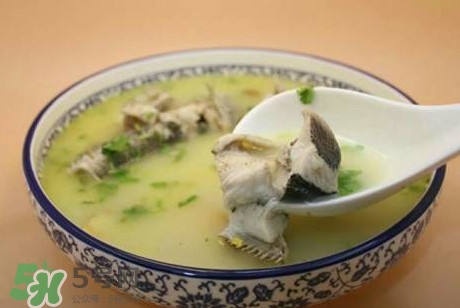 黑魚湯下奶嗎？黑魚湯是下奶還是回奶