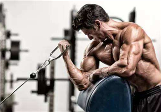 牧師凳彎舉怎么練？牧師凳杠鈴彎舉訓(xùn)練要點(diǎn)