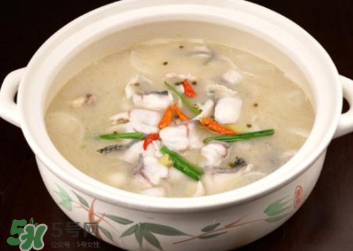 黑魚湯下奶嗎？黑魚湯是下奶還是回奶