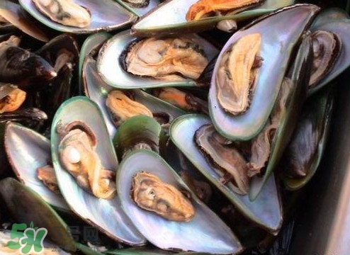 帶子哪里不能吃？帶子有什么營養(yǎng)價值