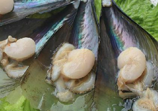 帶子哪里不能吃？帶子有什么營(yíng)養(yǎng)價(jià)值