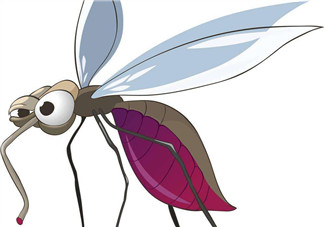 秋天有蚊子嗎？秋天有蚊子怎么辦？