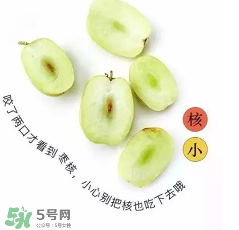 金絲棗的營(yíng)養(yǎng)價(jià)值 金絲棗的功效與作用 金絲棗的營(yíng)養(yǎng)價(jià)值 金絲棗的功效與作用