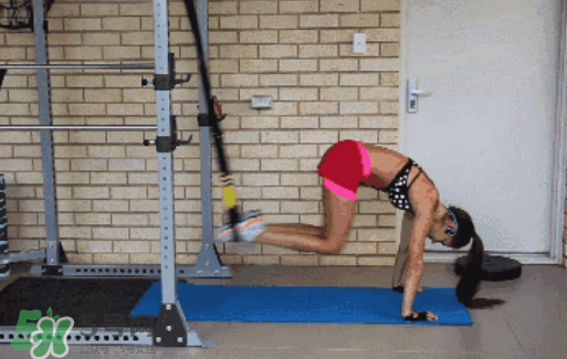 trx訓(xùn)練是有氧嗎？trx訓(xùn)練是有氧還是無(wú)氧？