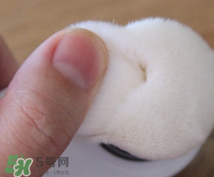 neogen妮珍面膜怎么樣？冷門性價比高的面膜