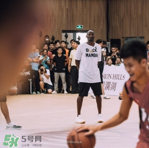 nike kobe ad mid baseline什么時候發(fā)售_多少錢？