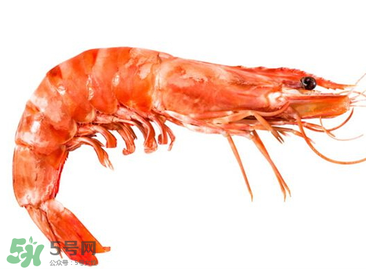 明蝦是海蝦還是河蝦？明蝦是什么蝦？