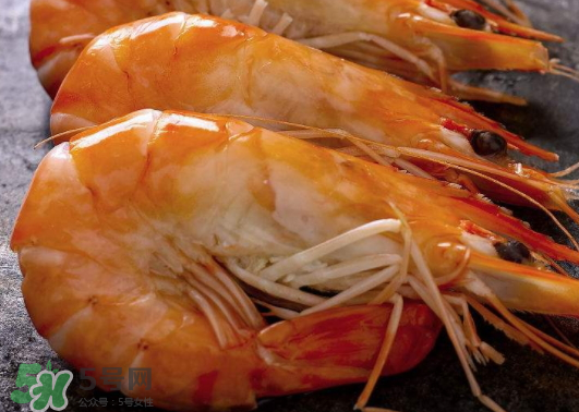 明蝦是海蝦還是河蝦？明蝦是什么蝦？