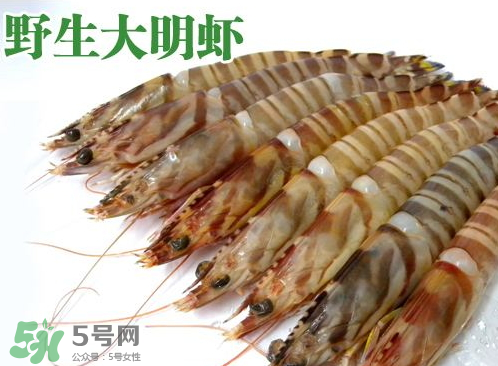 明蝦的營養(yǎng)價值 吃明蝦的好處 明蝦的營養(yǎng)價值 吃明蝦的好處