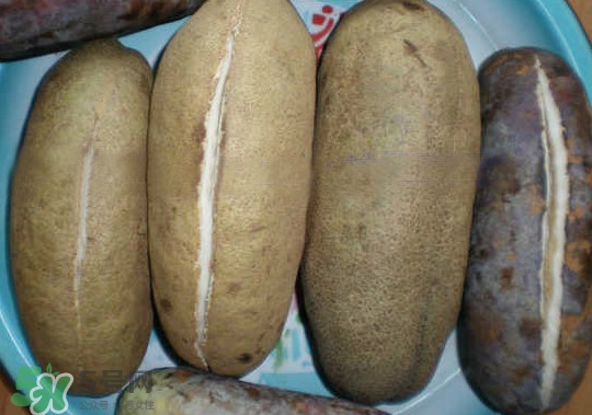 八月瓜能吃嗎？八月瓜到底有什么價(jià)值？