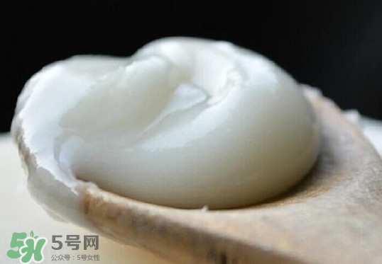 椴樹蜜可以泡檸檬嗎？椴樹蜜放冰箱冷藏好還是冷凍好