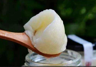 椴樹(shù)蜜和洋槐蜜哪個(gè)好？椴樹(shù)蜜和洋槐蜜的區(qū)別