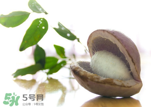 八月瓜的皮可以吃嗎？八月瓜的皮有什么功效