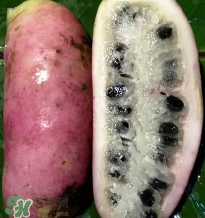 八月瓜的籽能吃嗎？八月瓜的籽可以種嗎