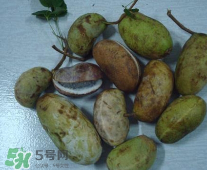 野香蕉孕婦能吃嗎？野香蕉好吃嗎？