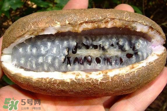 八月瓜能吃嗎？八月瓜到底有什么價(jià)值？