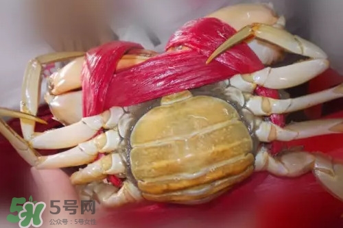 黃油蟹放冰箱能放多久？黃油蟹怎么挑選