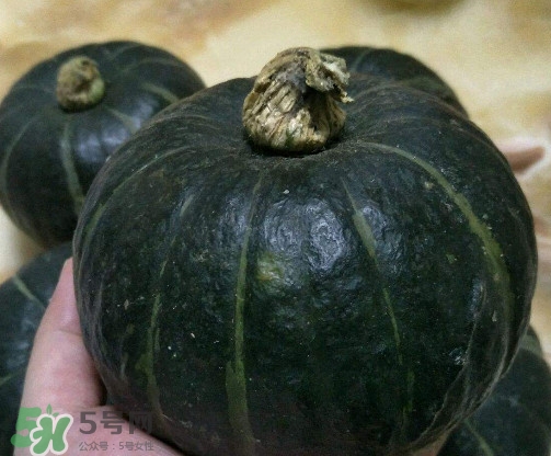 貝貝小南瓜多少錢一斤 貝貝南瓜哪里可以買到 貝貝小南瓜多少錢一斤 貝貝南瓜哪里可以買到