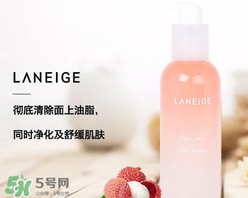 蘭芝荔枝水嫩舒緩潔面啫喱洗面奶怎么樣_多少錢 蘭芝荔枝水嫩舒緩潔面啫喱洗面奶怎么樣_多少錢