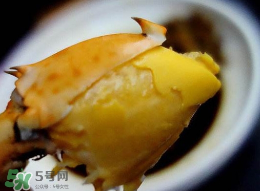 黃油蟹是什么蟹？黃油蟹多少錢一只