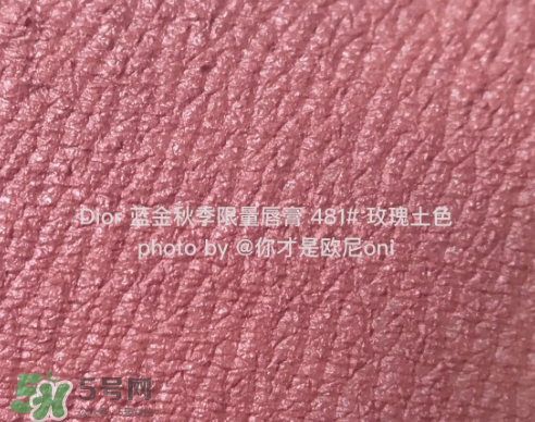 迪奧481口紅試色 dior秋季限定唇膏481試色圖 迪奧481口紅試色 dior秋季限定唇膏481試色圖