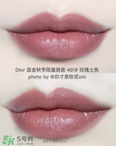 迪奧481口紅試色 dior秋季限定唇膏481試色圖 迪奧481口紅試色 dior秋季限定唇膏481試色圖