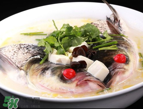 鰱魚頭湯孕婦可以吃嗎？鰱魚頭湯的功效與作用