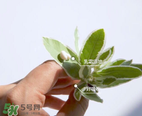 城野醫(yī)生377有副作用嗎？城野醫(yī)生377用了臉癢是什么原因？