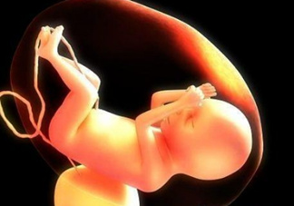 臍帶血有必要保存嗎？臍帶血有什么用？