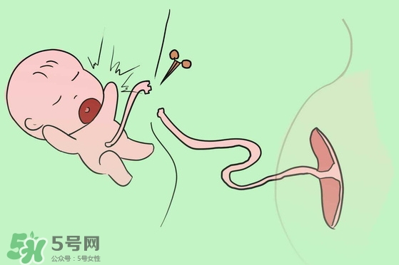 寶寶臍帶什么時候脫落？寶寶臍帶脫落后怎么護理？