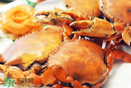 黃油蟹是什么蟹？黃油蟹多少錢一只