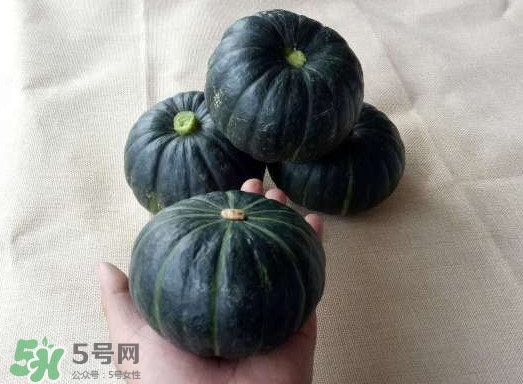 貝貝南瓜是哪里的？貝貝南瓜哪里產(chǎn)的