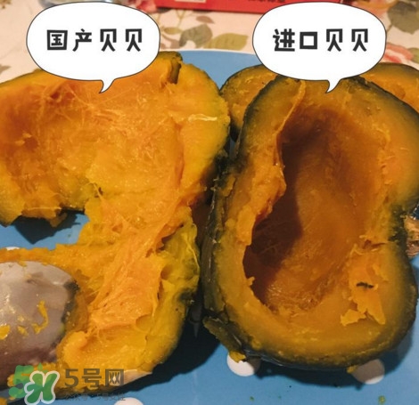 貝貝南瓜怎么挑選？貝貝南瓜有假的嗎