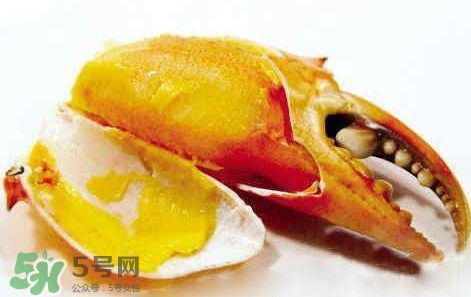 黃油蟹放冰箱能放多久？黃油蟹怎么挑選