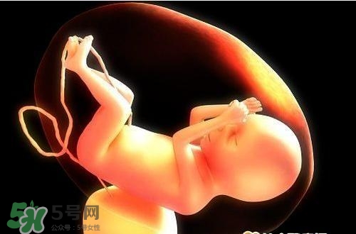 臍帶血有必要保存嗎？臍帶血有什么用？