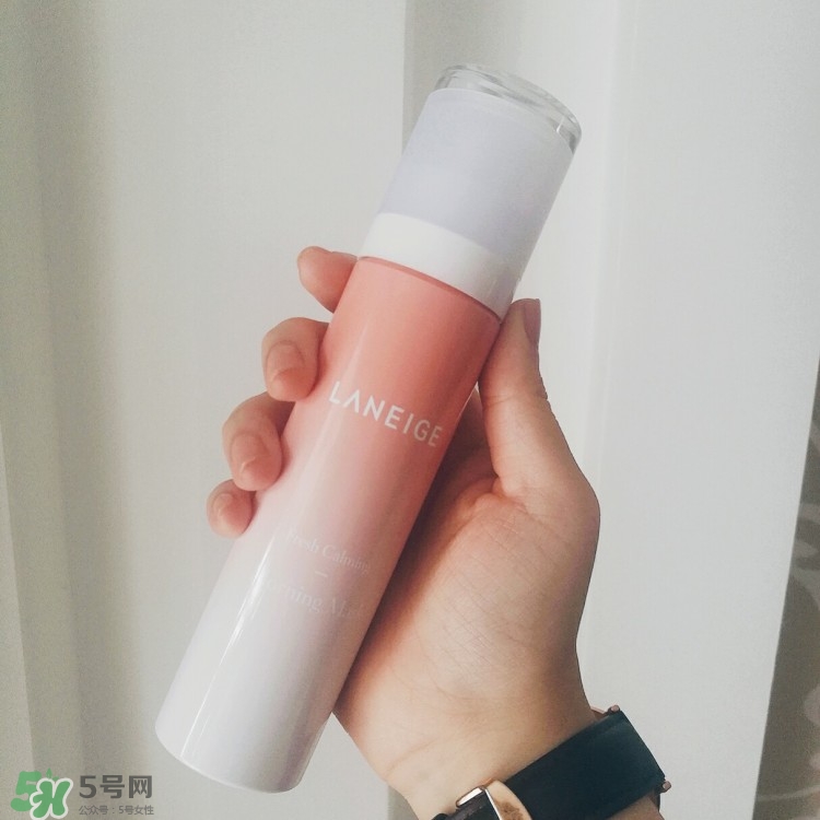 蘭芝荔枝早安面膜怎么樣_好用嗎 蘭芝荔枝早安面膜怎么樣_好用嗎