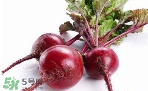 甜菜根是蘿卜嗎？甜菜根是什么菜