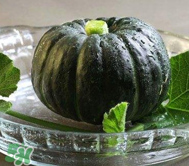 貝貝南瓜什么時(shí)候種植？貝貝南瓜什么時(shí)候上市