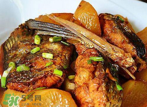 鱸魚可以紅燒嗎？鱸魚清蒸還是紅燒好吃？