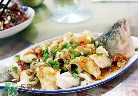 鱸魚為什么沒有刺？鱸魚為什么刺少？