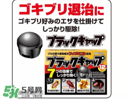 日本蟑螂藥好用嗎？日本蟑螂藥效果評測