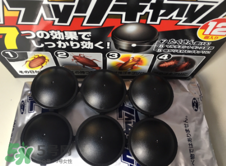 日本蟑螂藥哪里買得到？